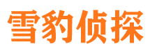 杞县私人侦探